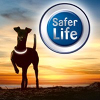 Safer Life